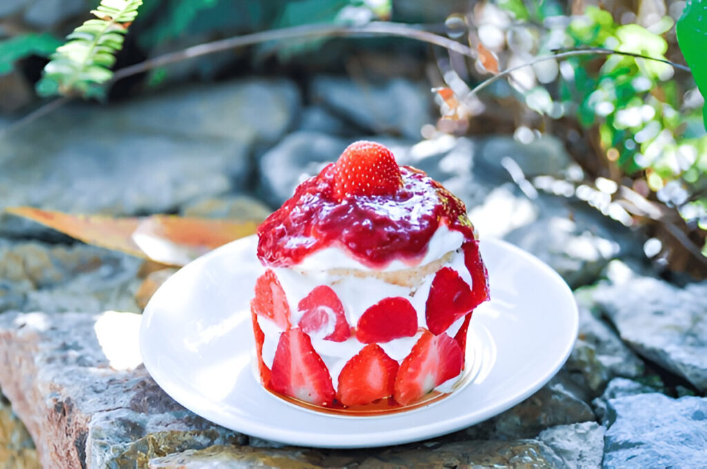 Strawberry Shortcake Dip