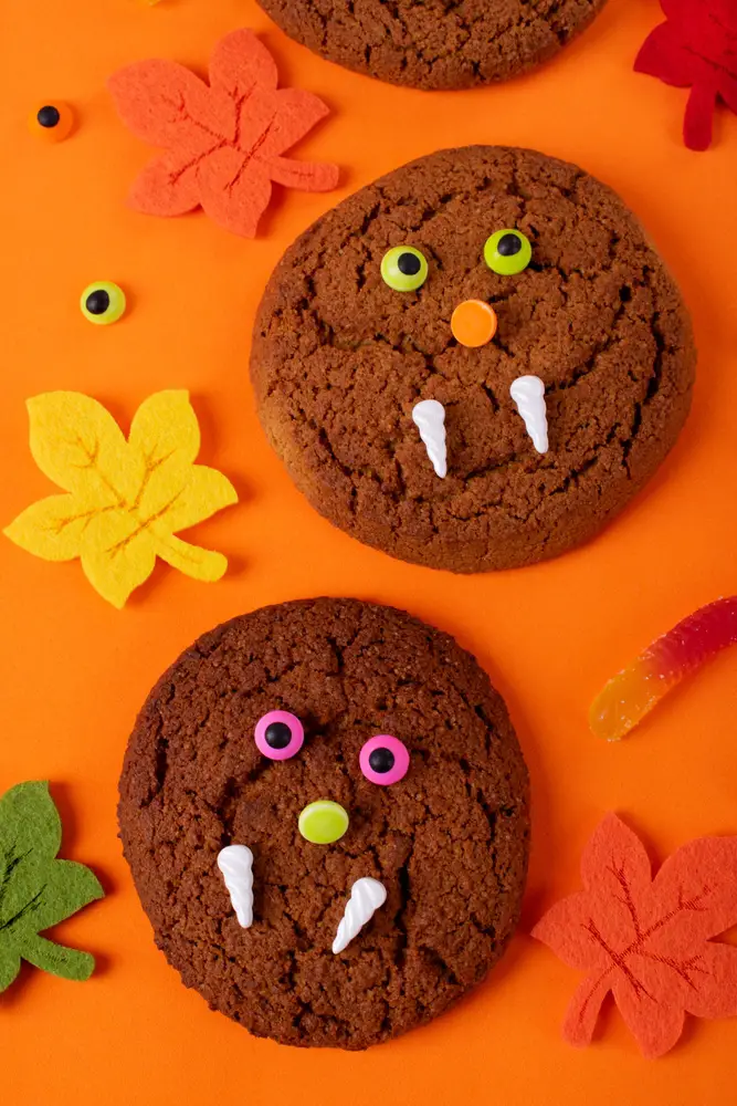 Hocus Pocus Binx Cookies