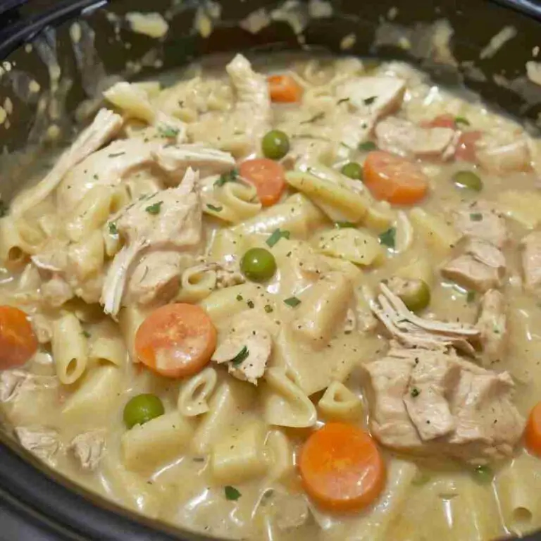 Comforting Chicken and Noodle Crockpot Stew recipe